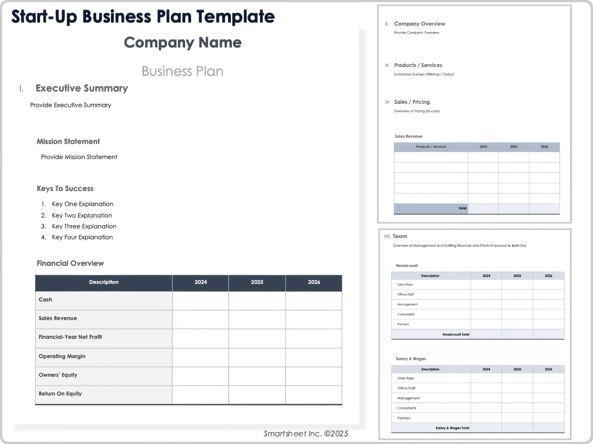 Start Up Business Plan Template
