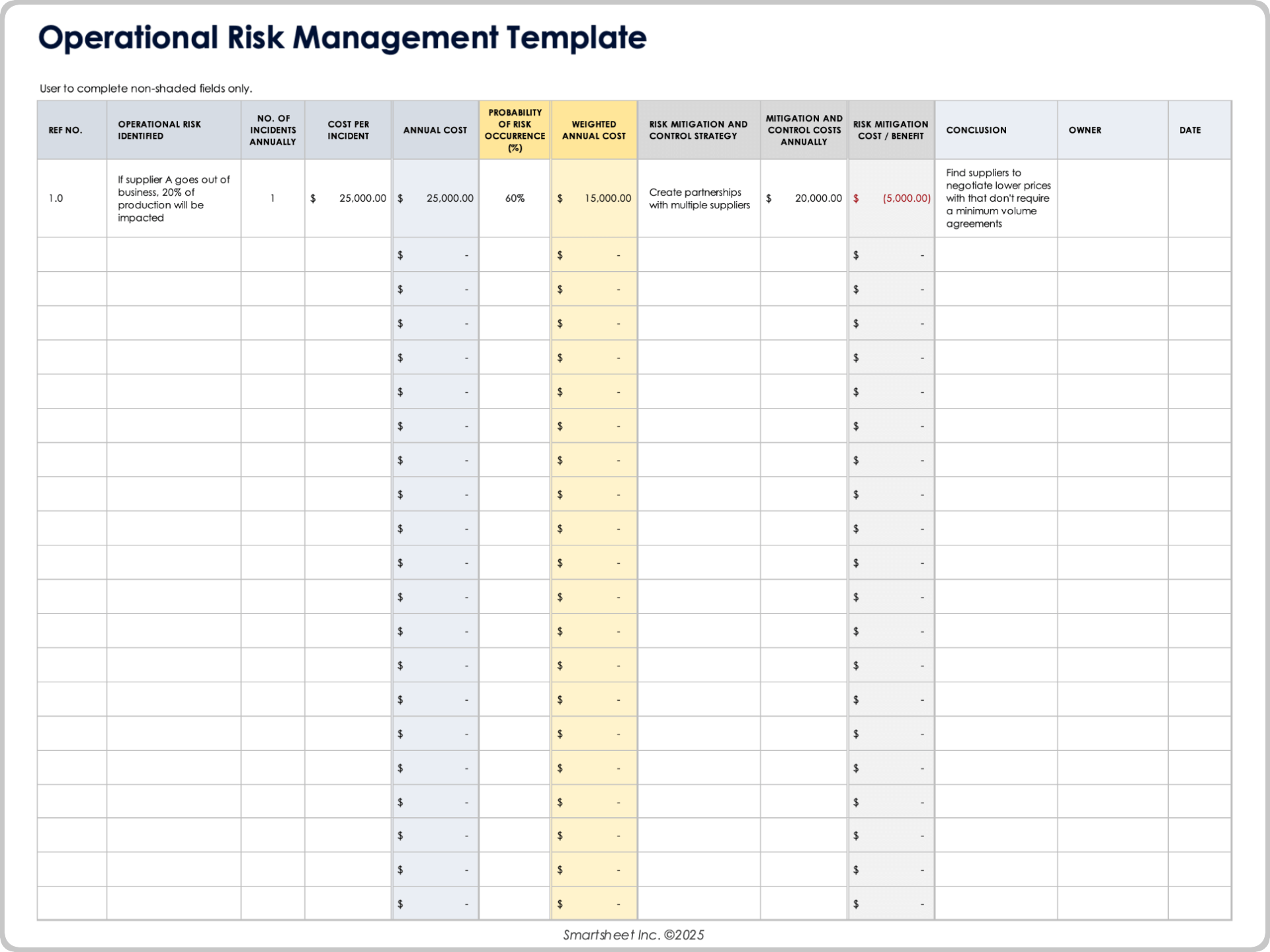 Operational Risk Management Template