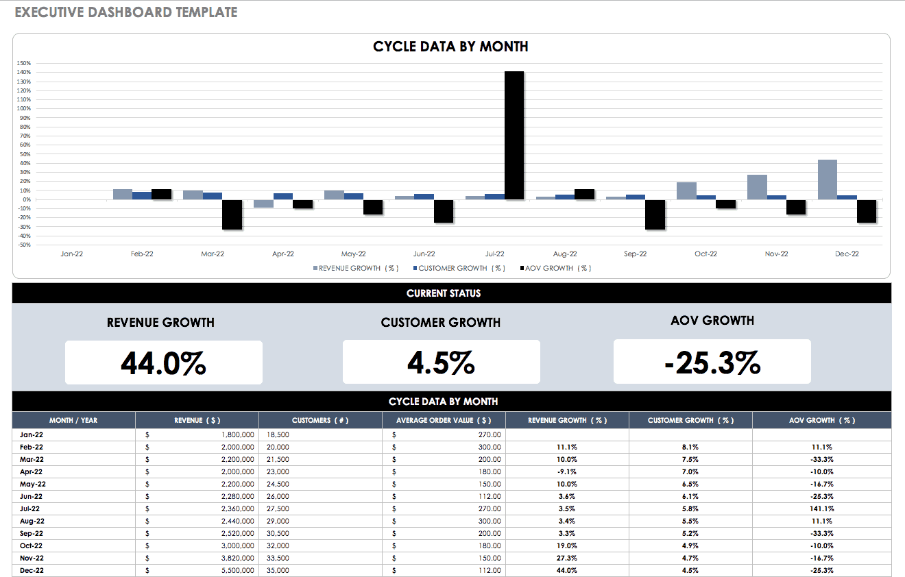 Executive Dashboard Template Revised