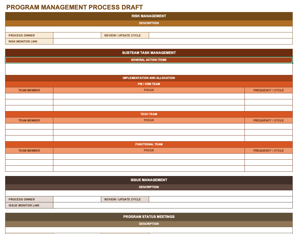 Program Management Plan Template Word