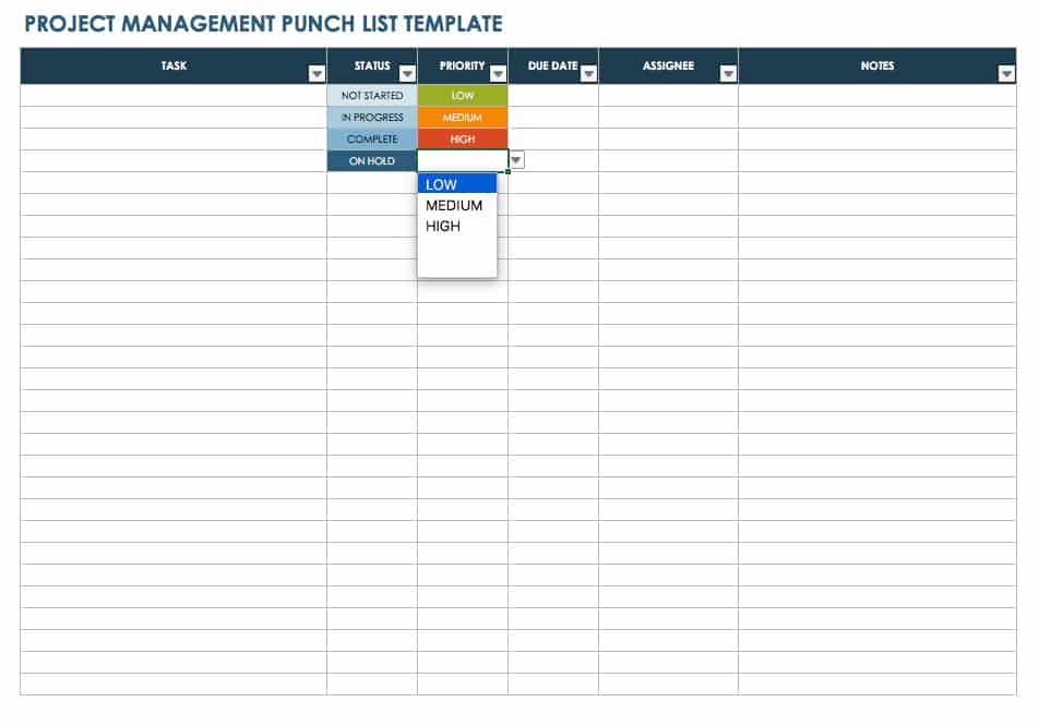 Project Management Punch List Template