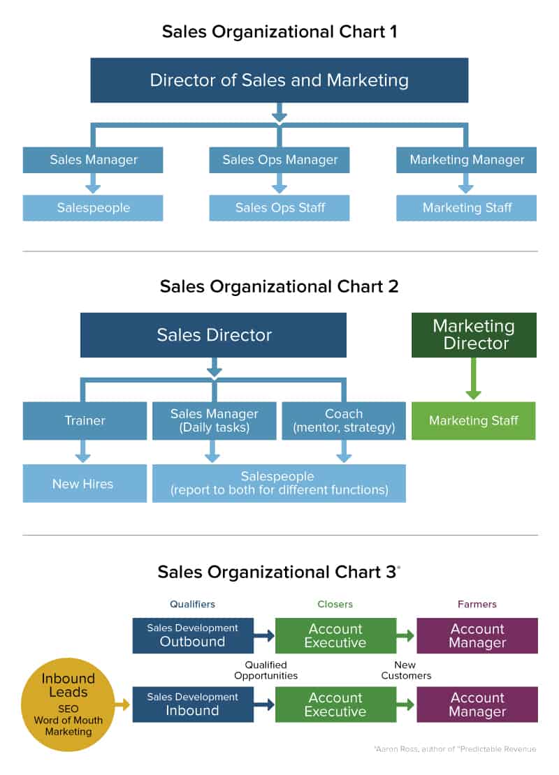 What are the roles and responsibilities of marketing department