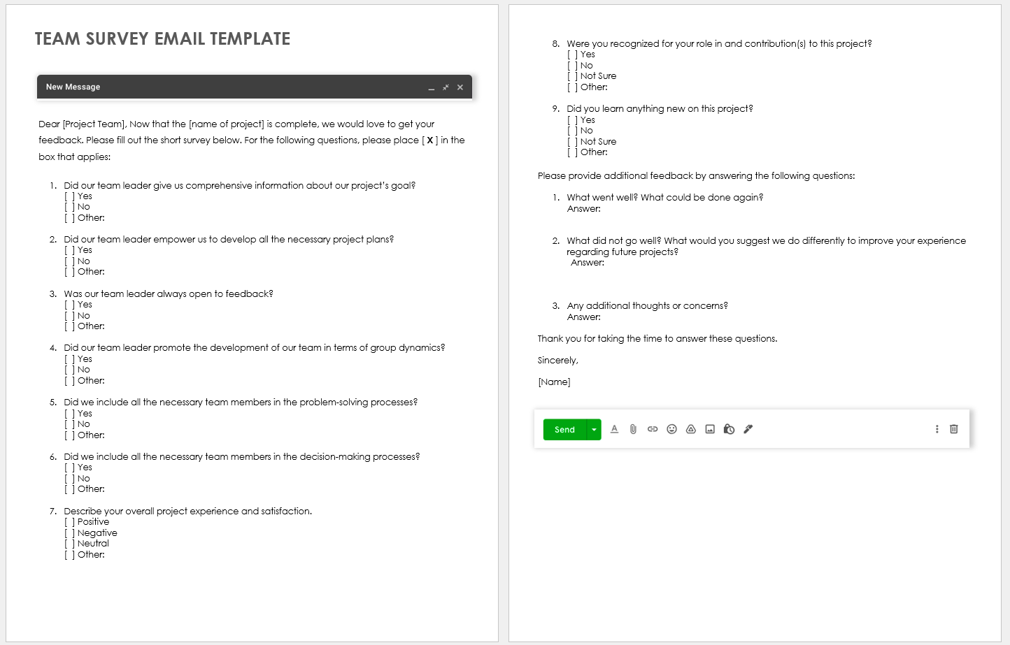 Team Survey Email Template