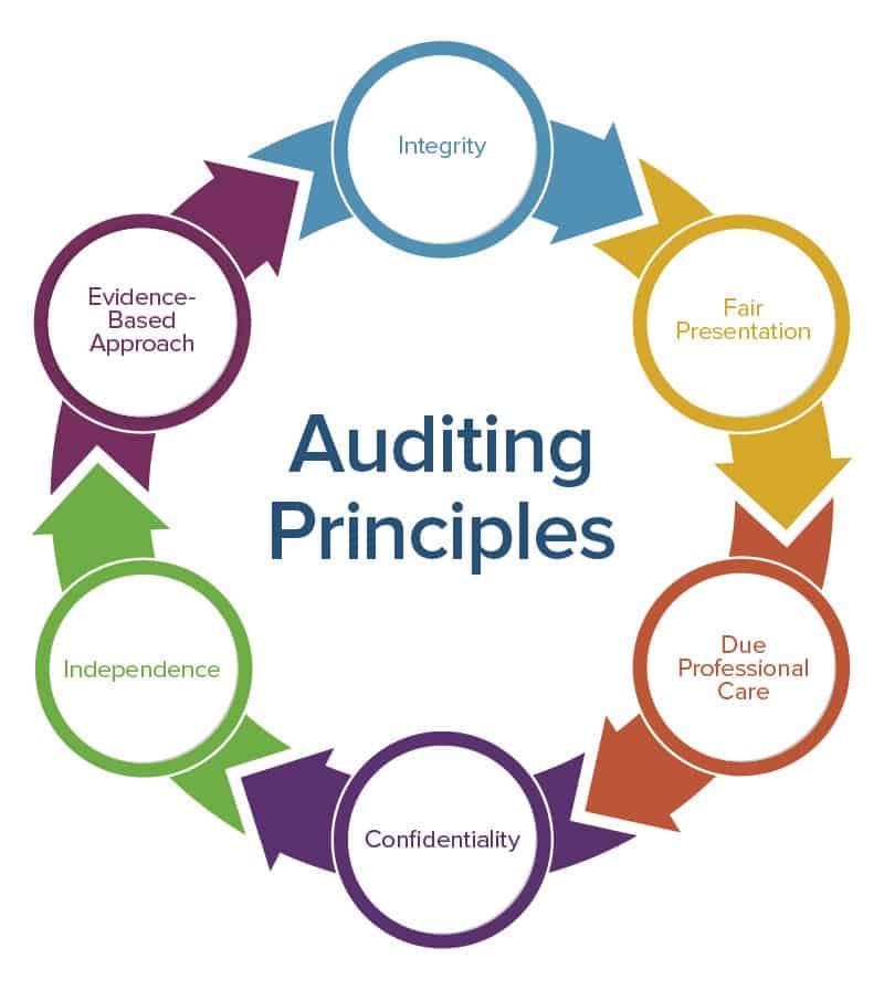 Auditing Principles