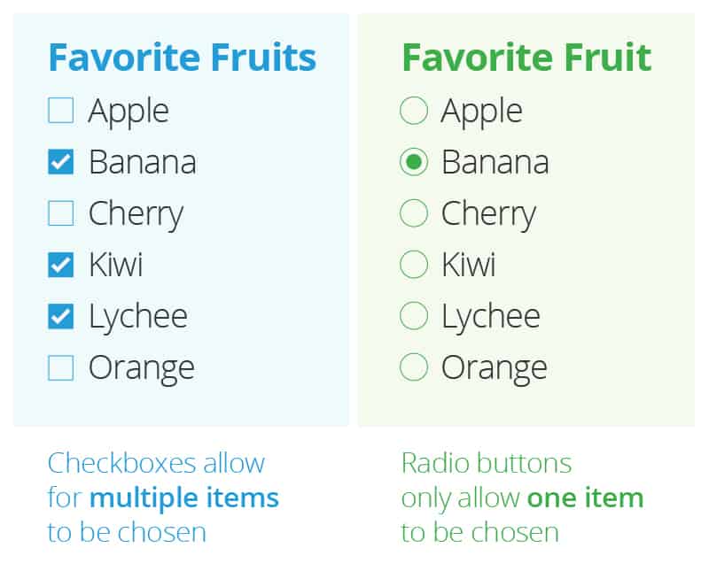Checkboxes and Radio Buttons