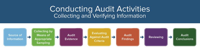 Conducting Audit Activities