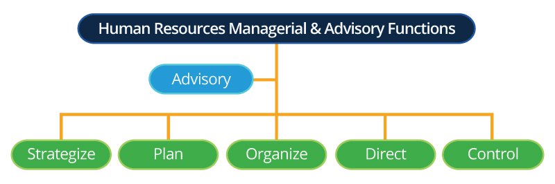 human resources managerial advisory functions