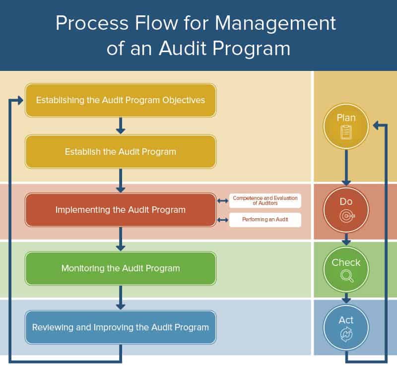 Process Flow of Management of Audit
