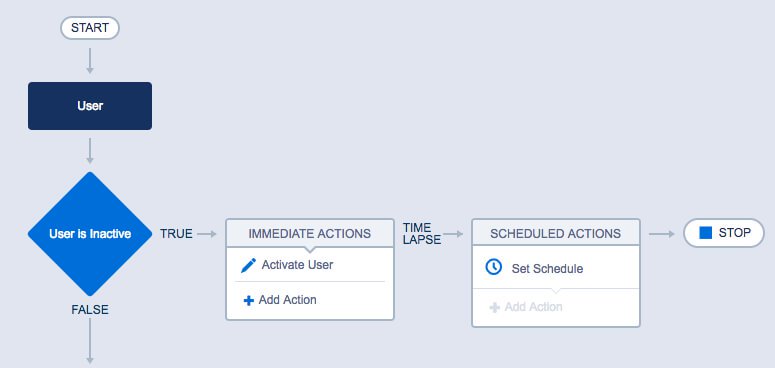salesforce Automatically Activate New Users