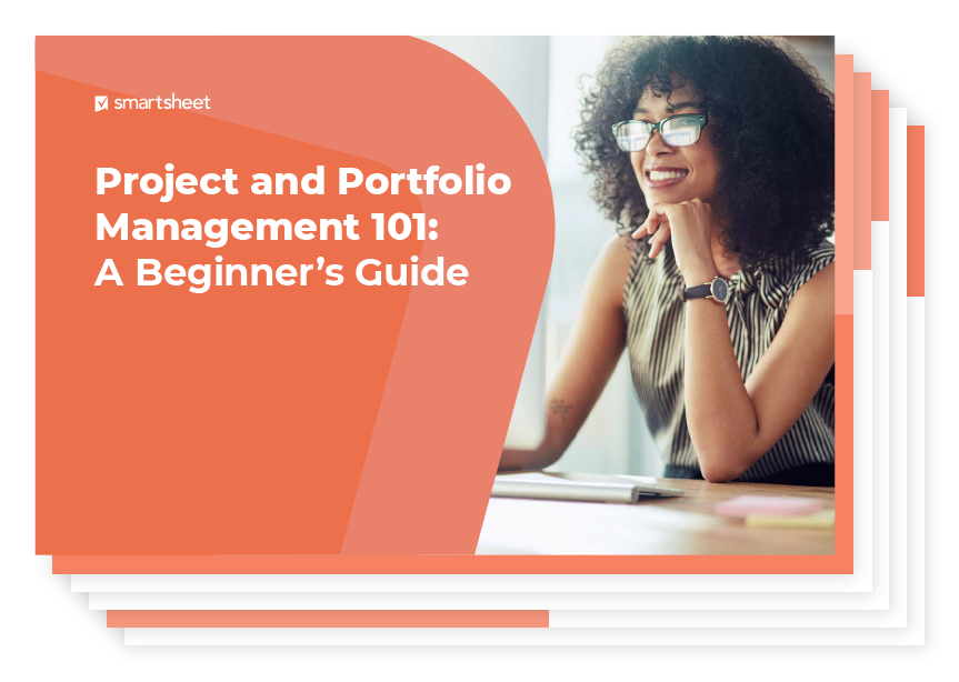 Project and Portfolio Management 101 eBook