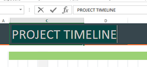 Project timeline 