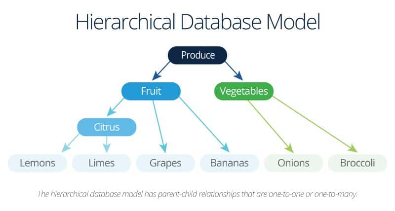 Hierarchical Database Model