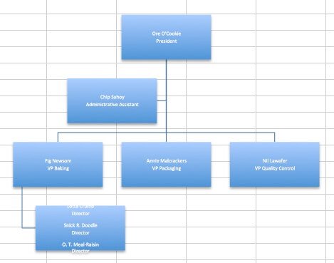 Partnership Organizational Chart Sample