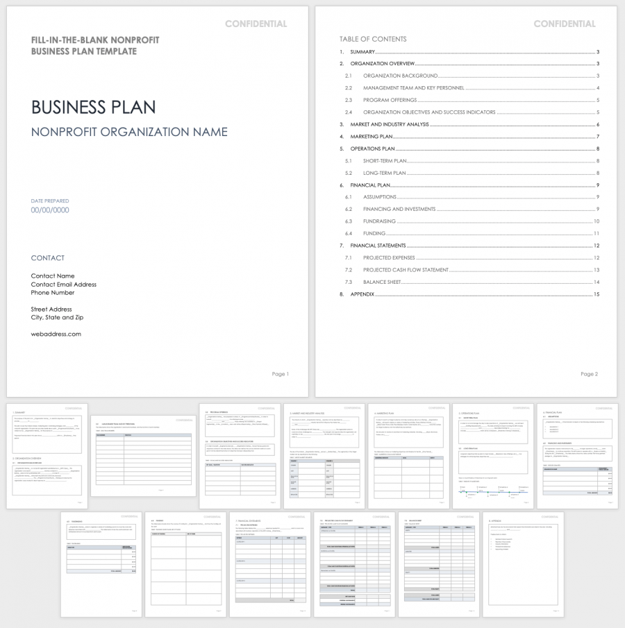 fill in the blank nonprofit business plan