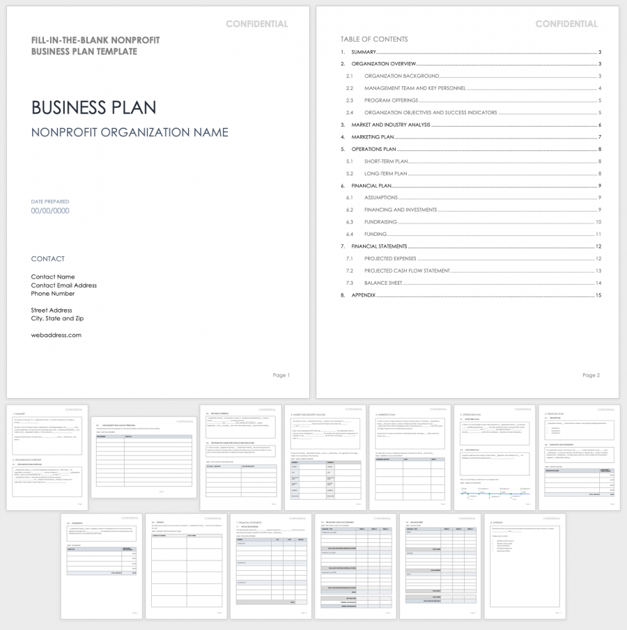 template nonprofit business plan