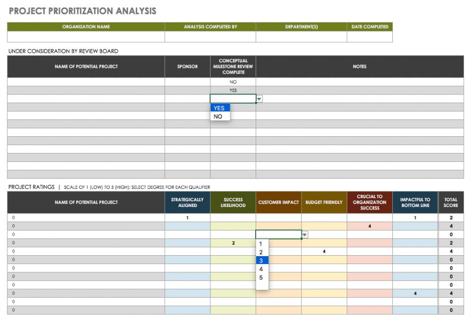 Project Prioritization Template