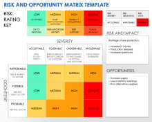 Risk and Opportunity Matrix Template